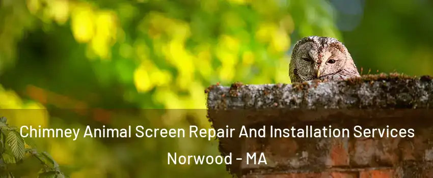  Chimney Animal Screen Repair And Installation Services Norwood - MA