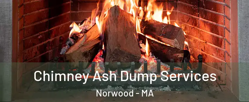  Chimney Ash Dump Services Norwood - MA