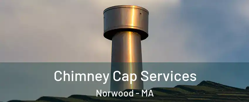  Chimney Cap Services Norwood - MA