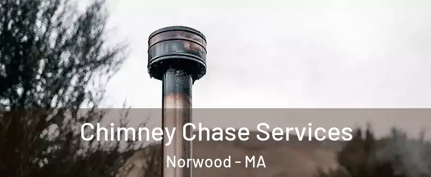 Chimney Chase Services Norwood - MA