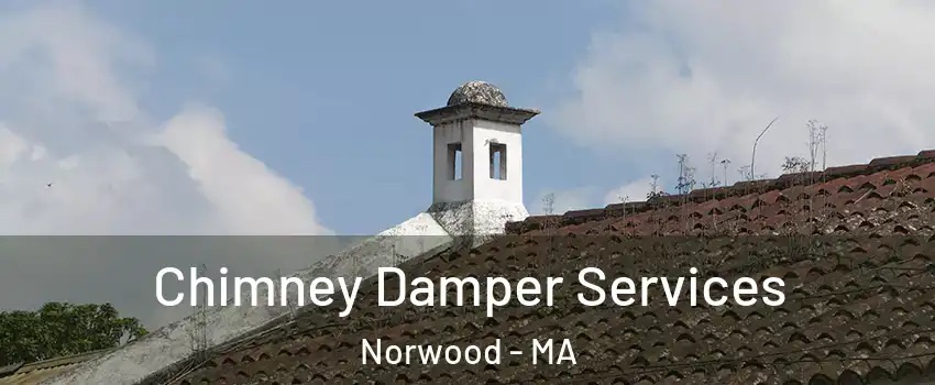  Chimney Damper Services Norwood - MA