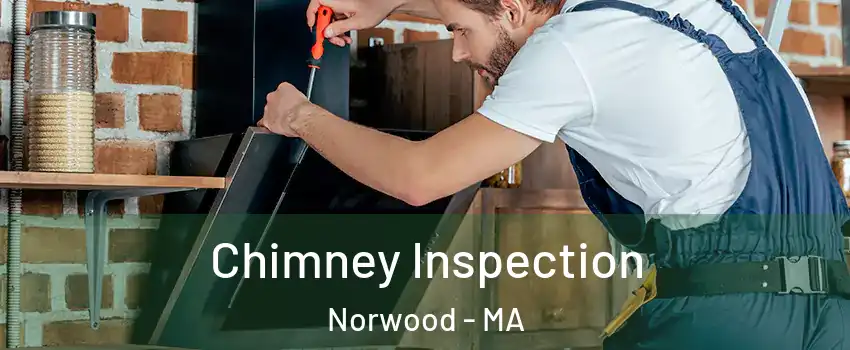  Chimney Inspection Norwood - MA