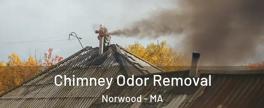  Chimney Odor Removal Norwood - MA