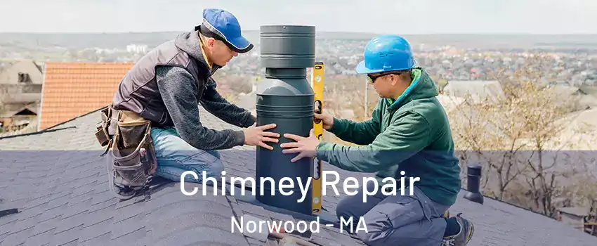  Chimney Repair Norwood - MA