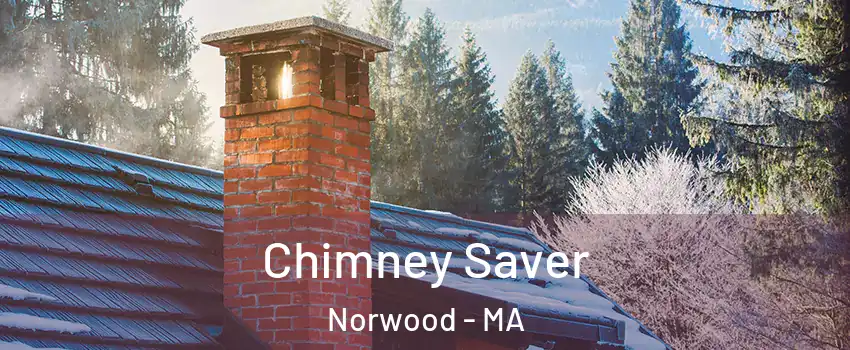  Chimney Saver Norwood - MA