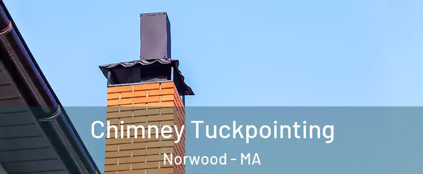  Chimney Tuckpointing Norwood - MA
