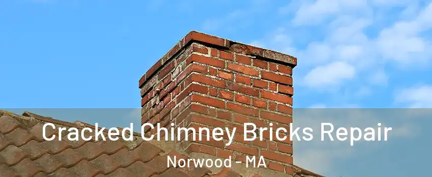  Cracked Chimney Bricks Repair Norwood - MA
