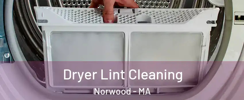 Dryer Lint Cleaning Norwood - MA