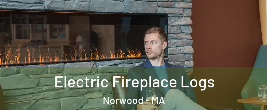  Electric Fireplace Logs Norwood - MA