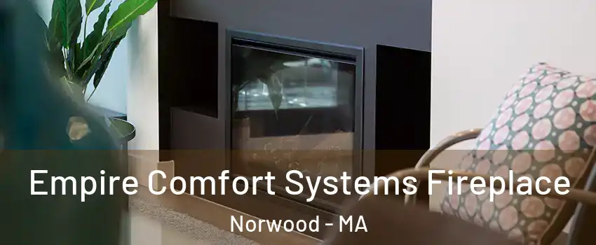  Empire Comfort Systems Fireplace Norwood - MA