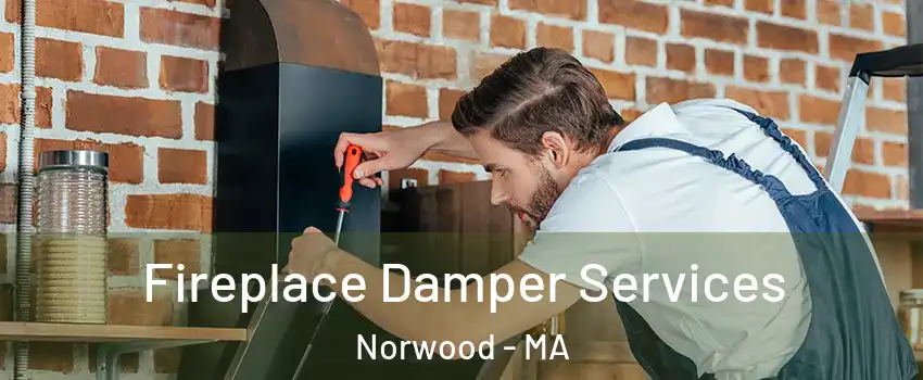  Fireplace Damper Services Norwood - MA