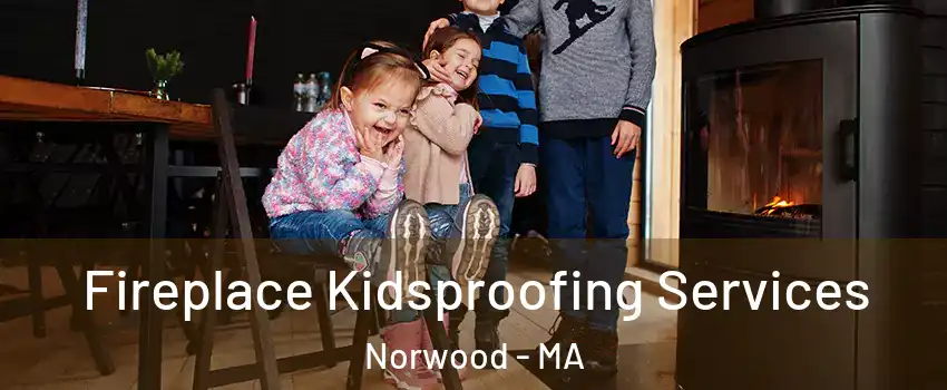  Fireplace Kidsproofing Services Norwood - MA