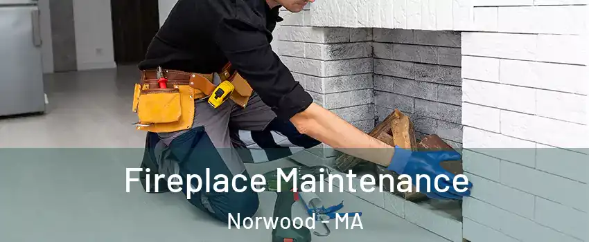  Fireplace Maintenance Norwood - MA