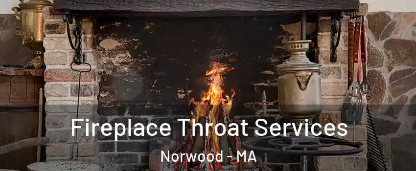  Fireplace Throat Services Norwood - MA
