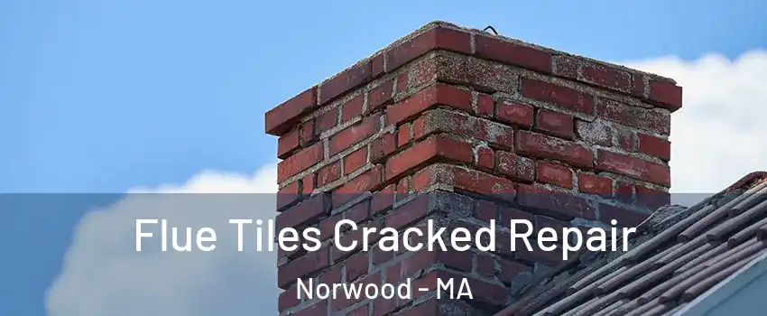  Flue Tiles Cracked Repair Norwood - MA