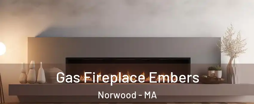  Gas Fireplace Embers Norwood - MA
