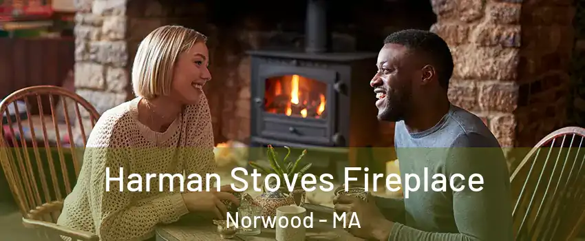  Harman Stoves Fireplace Norwood - MA