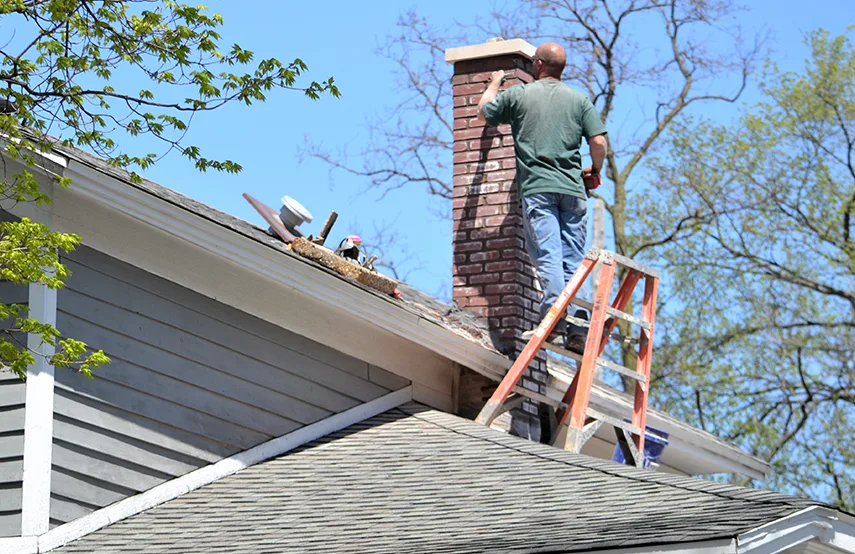 Chimney & Fireplace Inspections Services in Norwood, MA