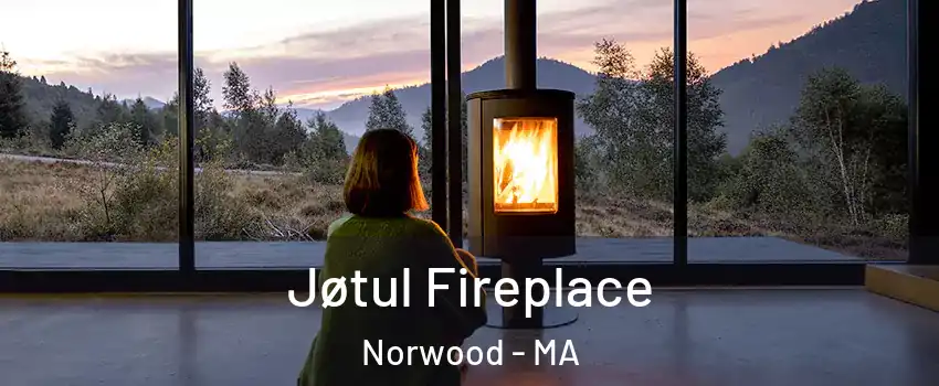 Jøtul Fireplace Norwood - MA
