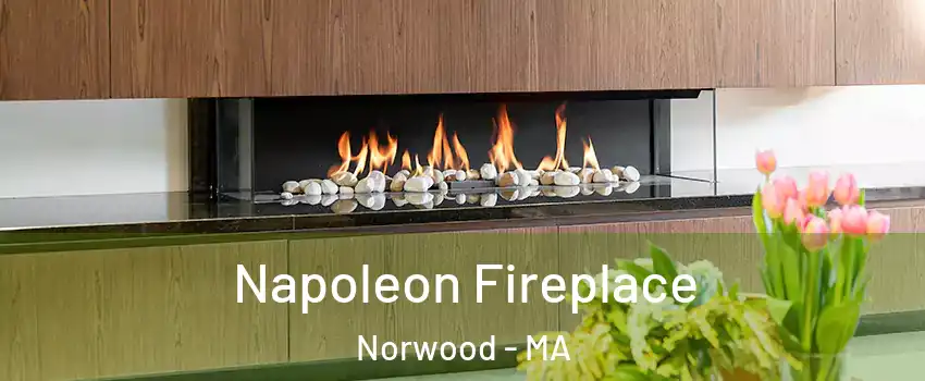  Napoleon Fireplace Norwood - MA