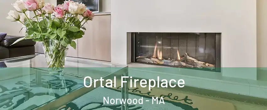 Ortal Fireplace Norwood - MA